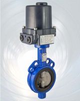 Absperrklappe LUG Serie 24 mit Elektro-Motor